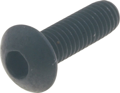 Screw; BOSSARD, B2X4/BN19, B2X5/BN19, B2X12/BN19, B2X16/BN19, B2.5X5/BN19, B2.5X6/BN19 |EN|