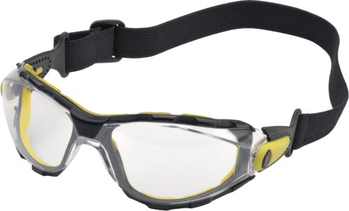 Safety goggles; PACAYA; DELTA PLUS, DEL-PACAYLVSTIN, DEL-PACAYSTIN |EN|