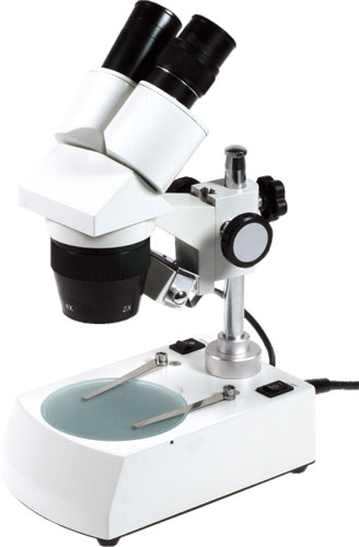Stereoscopic Microscope With Rotary Turret Nb Xt5c En