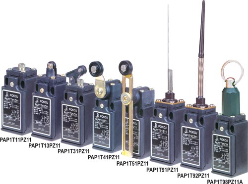 Limit switches, PAP1 series, PAP1T11PZ11, PAP1T13PZ11, PAP1T31PZ11, PAP1T41PZ11, PAP1T51PZ11 |EN|